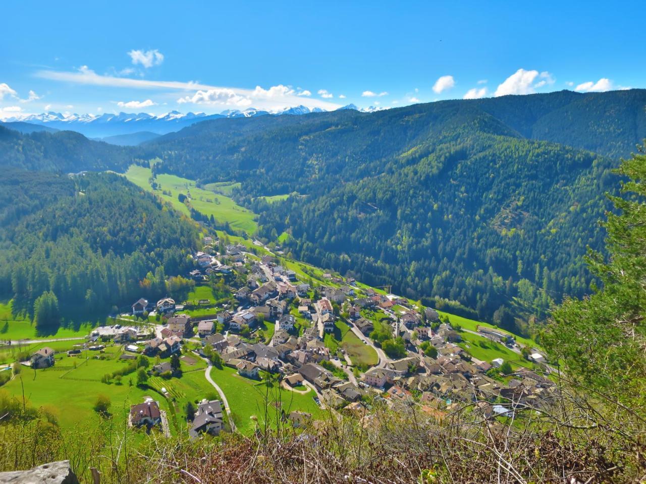 Hotel Trudnerhof Im Naturpark Trudnerhorn 트로데나 외부 사진